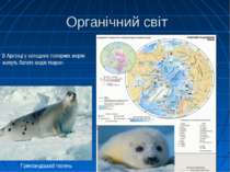 Органічний світ В Арктиці у холодних полярних морях живуть багато видів твари...