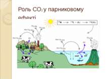 Роль CO2 у парниковому ефекті
