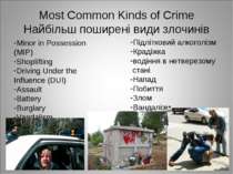 Most Common Kinds of Crime Найбільш поширені види злочинів Minor in Possessio...