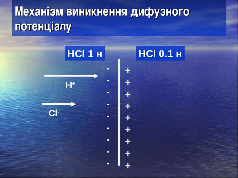 Механізм виникнення дифузного потенціалу HCl 1 н HCl 0.1 н H+ Cl- + + + + + +...