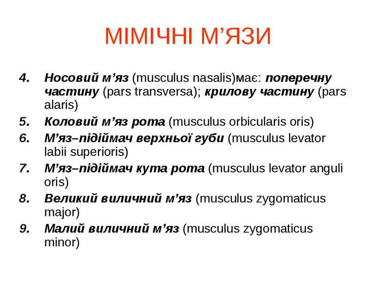 МІМІЧНІ М’ЯЗИ Носовий м’яз (musculus nasalis)має: поперечну частину (pars tra...