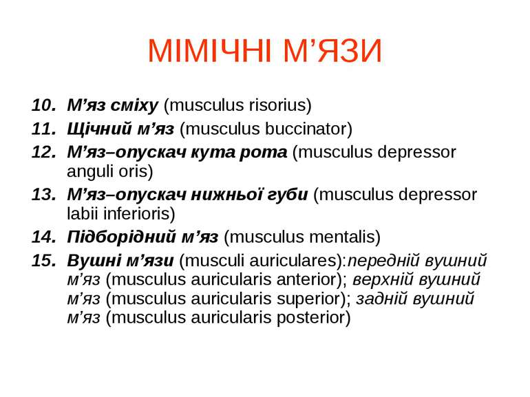 МІМІЧНІ М’ЯЗИ М’яз сміху (musculus risorius) Щічний м’яз (musculus buccinator...