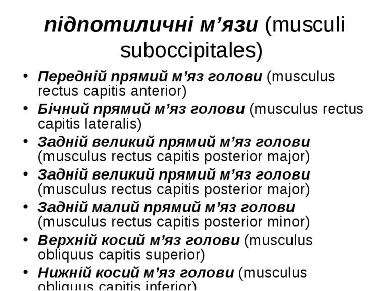 підпотиличні м’язи (musculi suboccipitales) Передній прямий м’яз голови (musc...
