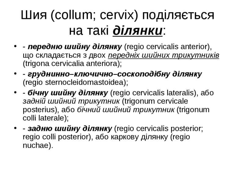 Шия (collum; cervix) поділяється на такі ділянки: - передню шийну ділянку (re...