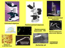 Люмінесцентний мікроскоп Фазово-контрастний мікроскоп Світловий мікроскоп Фаз...