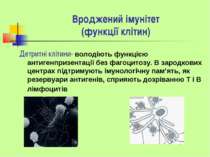 Вроджений імунітет (функції клітин) Детритні клітини- володіють функцією анти...