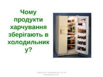 Чому продукти харчування зберігають в холодильнику? Жукова О.В. Новоукраїнськ...