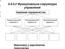 3.4.3.2 Функціональна структура управління Керівник підприємства
