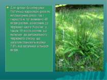 Для флори басейну ріки Пістинька характерні риси як високогірних флор, так і ...