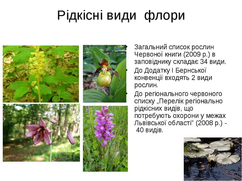 Рідкісні види флори Загальний список рослин Червоної книги (2009 р.) в запові...