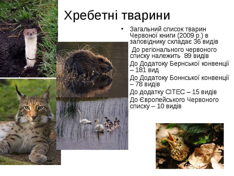 Хребетні тварини Загальний список тварин Червоної книги (2009 р.) в заповідни...