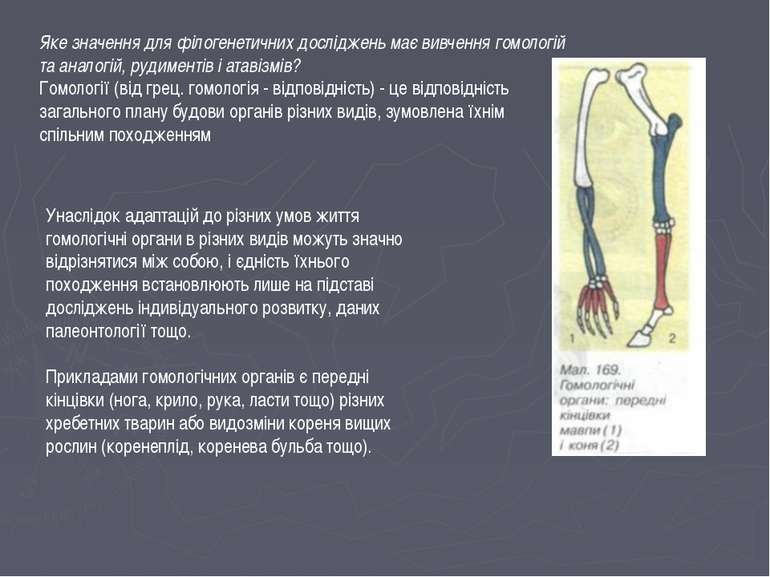 Яке значення для філогенетичних досліджень має вивчення гомологій та аналогій...