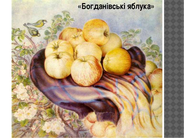 «Богданівські яблука»