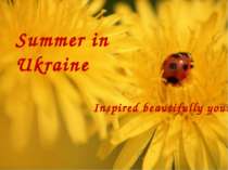 Summer in Ukraine Inspired beautifully yours