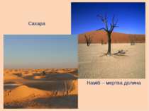 Наміб – мертва долина Сахара