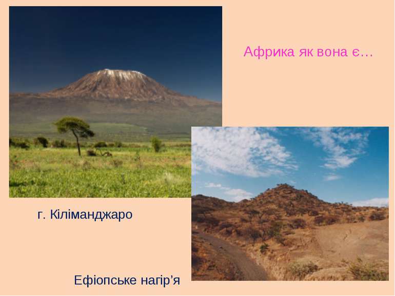 Африка як вона є… г. Кіліманджаро Ефіопське нагір’я