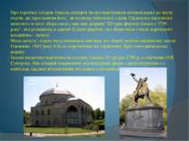 Про героїчну історію Ізмаїла свідчить безліч пам'ятників встановлених на чест...