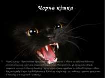 Чорна кішка Чорна кішка - дуже погана прикмета. Це твердження є одним з найбі...