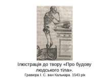 Ілюстрація до твору «Про будову людського тіла». Гравюра І. С. ван Калькара. ...