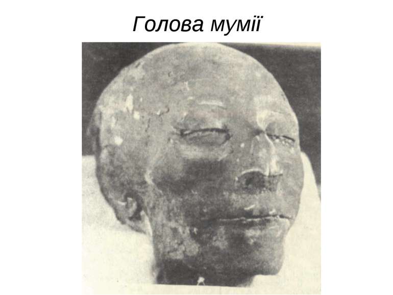 Голова мумії