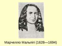 Марчелло Мальпігі (1628—1694)