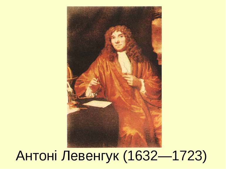 Антоні Левенгук (1632—1723)