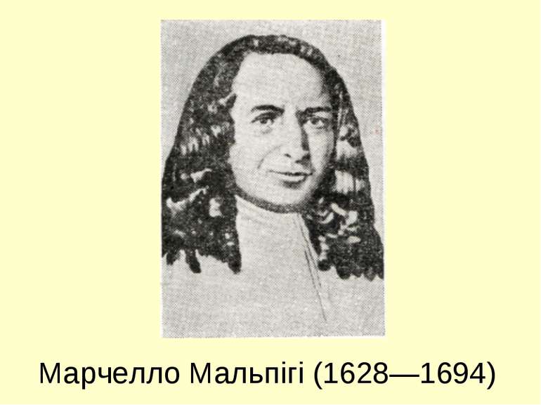 Марчелло Мальпігі (1628—1694)