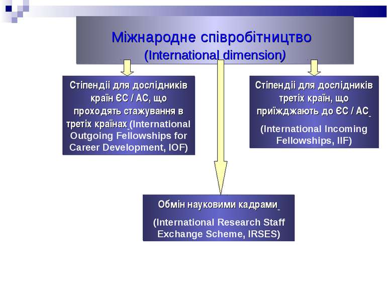 Міжнародне співробітництво (International dimension)