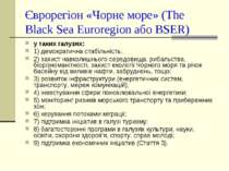Єврорегіон «Чорне море» (The Black Sea Euroregion або BSER)  у таких галузях:...