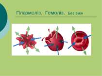 Плазмоліз. Гемоліз. Без змін
