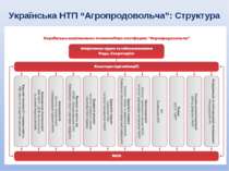 Українська НТП “Агропродовольча”: Структура МСП