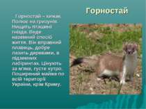 Горностай Горностай – хижак. Полює на гризунів. Нищить пташині гнізда. Веде н...