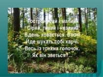 Гостроносий і малий, Сірий, тихий і незлий. Вдень ховається. Вночі Йде шукать...