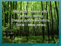 Має вуса, пишний хвіст І негарну звичку: Спершу добре він поїсть, Потім – вми...