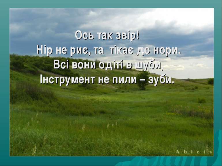 Ось так звір! Нір не риє, та тікає до нори. Всі вони одіті в шуби, Інструмент...