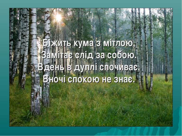 Біжить кума з мітлою, Замітає слід за собою. Вдень в дуплі спочиває, Вночі сп...