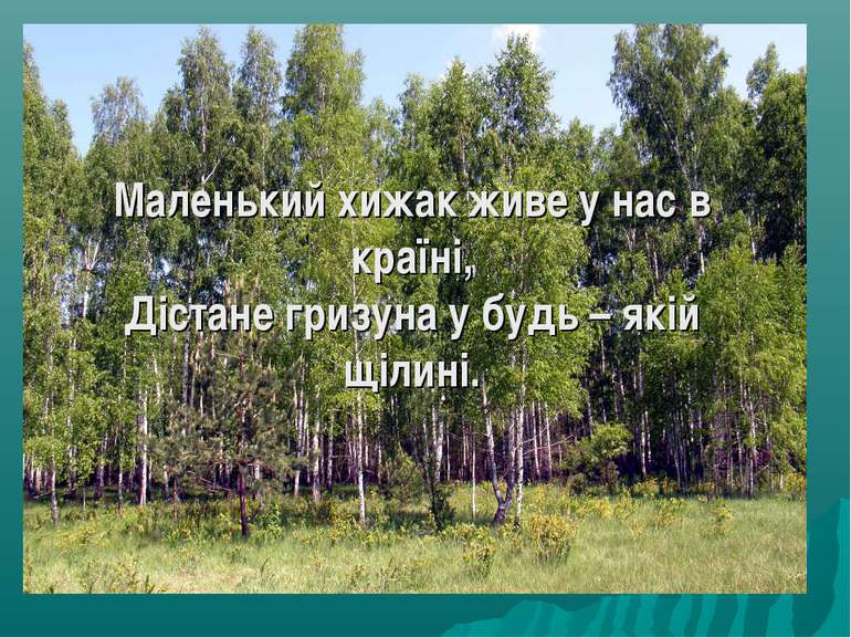 Маленький хижак живе у нас в країні, Дістане гризуна у будь – якій щілині.