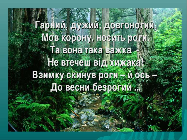 Гарний, дужий, довгоногий, Мов корону, носить роги. Та вона така важка - Не в...