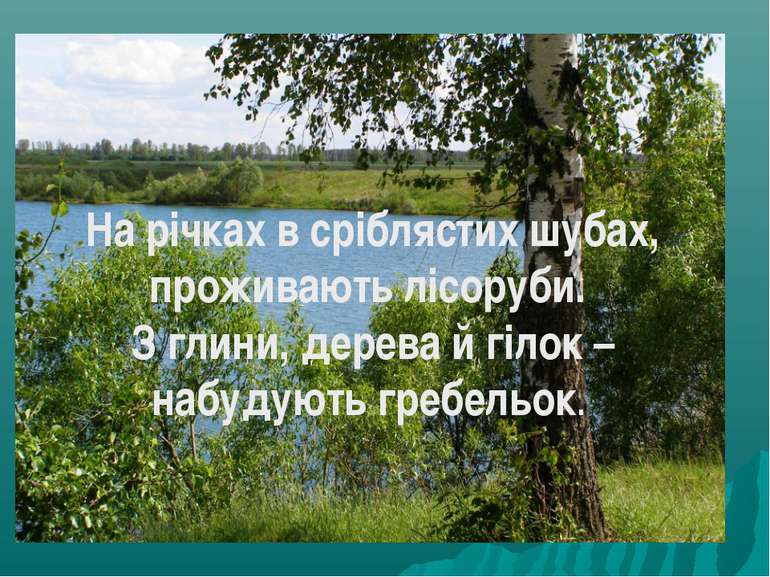 На річках в сріблястих шубах, проживають лісоруби. З глини, дерева й гілок – ...