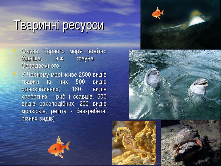 Тваринні ресурси Фауна Чорного моря помітно бідніша, ніж фауна Середземного. ...