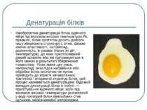 Денатурація білків Необроротна денатурація білка курячого яйця під впливом ви...