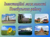 Інвестиційні можливості Новобузького району