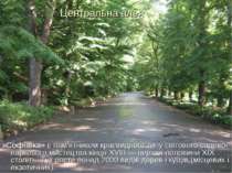 Центральна алея «Софіївка» є пам'ятником краєвидного типу світового садово-па...