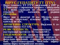 ВІРУС ГЕПАТИТУ TT (TTV) Вірус гепатиту TT (TTV) виділений у 1997 р. Т.Нишізав...