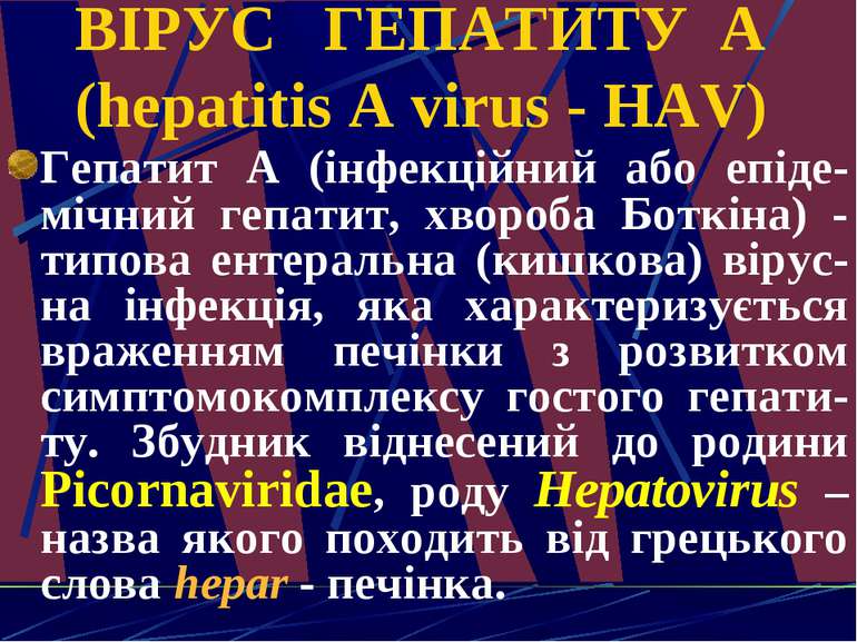 ВІРУС ГЕПАТИТУ А (hepatitis A virus - HAV) Гепатит А (інфекційний або епіде-м...