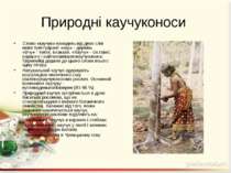 Природні каучуконоси Слово «каучук» походить від двох слів мови тупі-гуарані:...