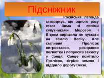 Підсніжник Російська легенда стверджує, що одного разу стара Зима зі своїми с...