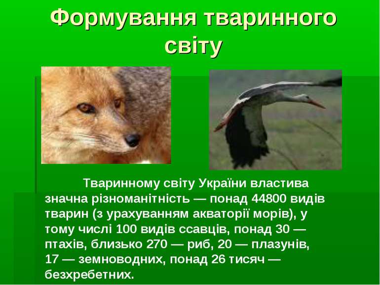 Формування тваринного світу Тваринному світу України властива значна різноман...