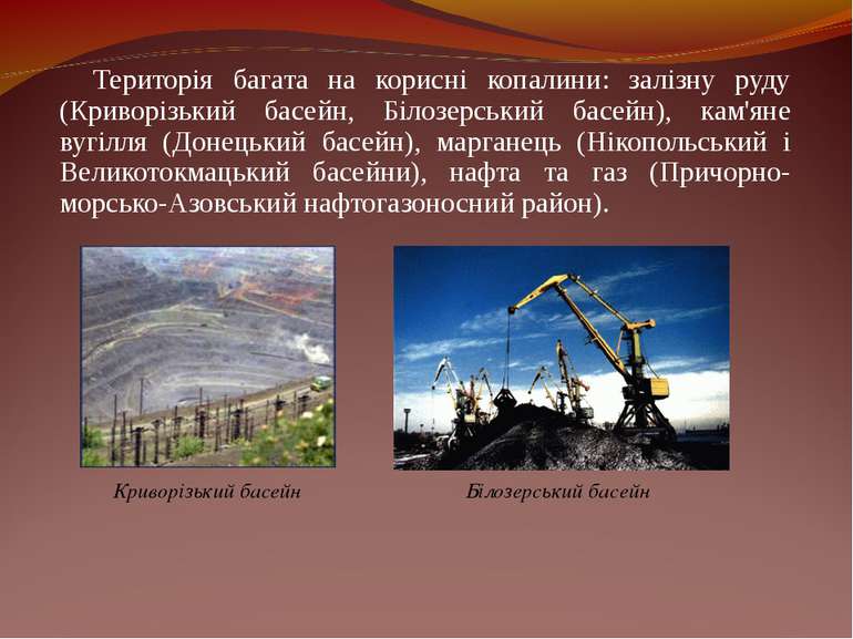 Територія багата на корисні копалини: залізну руду (Криворізький басейн, Біло...