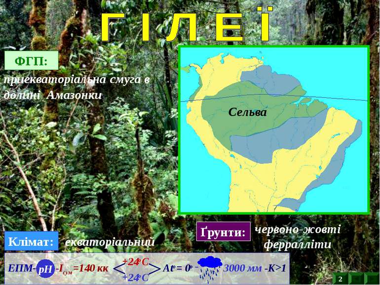 ФГП: приекваторіальна смуга в долині Амазонки Клімат: екваторіальний Ґрунти: ...